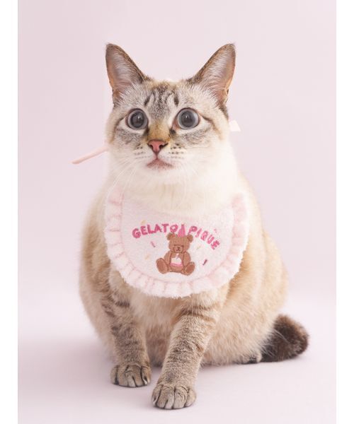 gelato pique（ジェラートピケ）の「【CAT&DOG】【Birthday】スムーズィーバースデースタイ（ペットウェア・レディース・ピンク/クリーム・F）」の4枚目の写真
