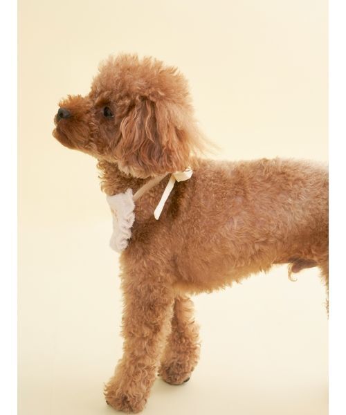 gelato pique（ジェラートピケ）の「【CAT&DOG】【Birthday】スムーズィーバースデースタイ（ペットウェア・レディース・ピンク/クリーム・F）」の6枚目の写真