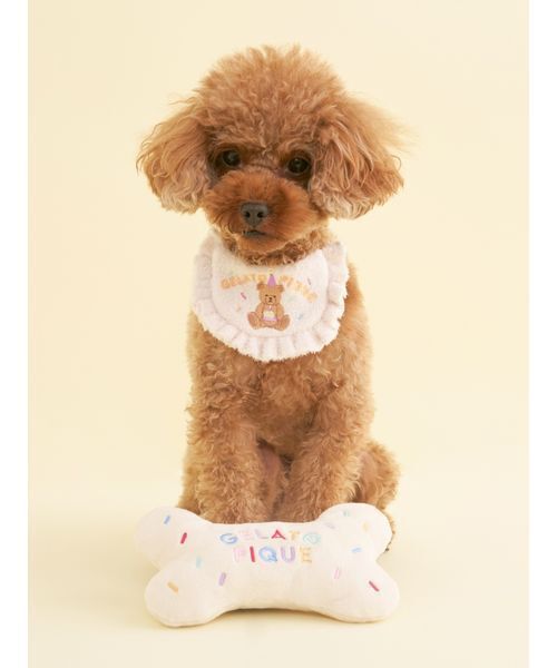 gelato pique（ジェラートピケ）の「【CAT&DOG】【Birthday】スムーズィーバースデースタイ（ペットウェア・レディース・ピンク/クリーム・F）」の8枚目の写真
