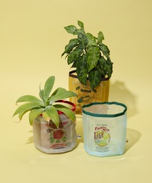 Casselini（キャセリーニ）の「Casselini HOME (キャセリーニ ホーム)チュール鉢カバー（フラワーベース）」