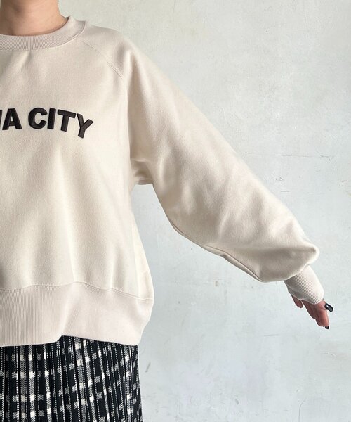 un dix cors(アンディコール)の「ウールフリースロゴプルオーバー(Tシャツ/カットソー・レディース・ネイビー/モカ/アイボリー・FREE)」の13枚目の写真