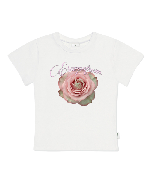 ESCAPEFROM(エスケープフロム)の「ピンクリアルローズプリントスリムフィット半袖Tシャツアイボリー(Tシャツ/カットソー・レディース・その他・MEDIUM/LARGE)」の1枚目の写真