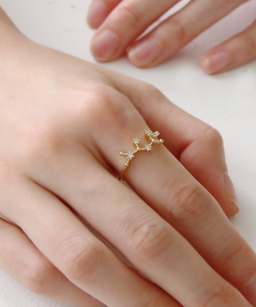 queite（ケイト）の「12星座リング（リング・レディース・B/G/I/A/E/F/H/J/K/L/C/D・ﾌﾘ-）」の16枚目の写真