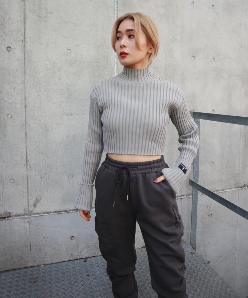 FIG&VIPER(フィグアンドバイパー)の「ハイネッククロップドニットTOP(ニット/セーター・レディース・ホワイト/ブラック/グレー/カーキ・FREE)」の1枚目の写真