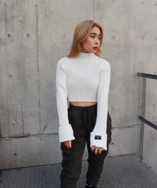 FIG&VIPER(フィグアンドバイパー)の「ハイネッククロップドニットTOP(ニット/セーター・レディース・ホワイト/ブラック/グレー/カーキ・FREE)」の18枚目の写真