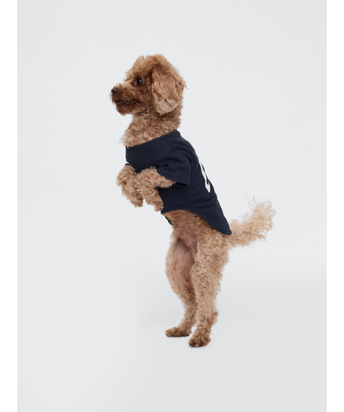 GAP（ギャップ）の「GAPロゴ ペット用Tシャツ 犬服（DOG WEAR）（ペットウェア・レディース・ネイビー/コーラル/グリーン系その他/グリーン/グレー/ブルー/レッド・M/XS/S/L）」の12枚目の写真