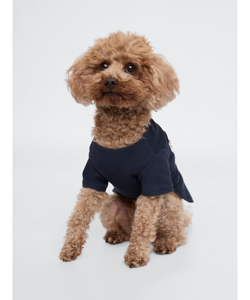 GAP（ギャップ）の「GAPロゴ ペット用Tシャツ 犬服（DOG WEAR）（ペットウェア・レディース・ネイビー/コーラル/グリーン系その他/グリーン/グレー/ブルー/レッド・M/XS/S/L）」の10枚目の写真