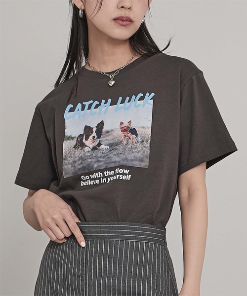 miette(ミエット)の「dogプリントTシャツ(Tシャツ/カットソー・レディース・ホワイト系その他/グレー系その他/ホワイト系その他2/グレー系その他2・FREE)」の4枚目の写真