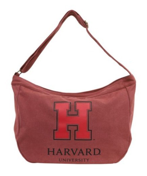 SALON de RUBAN(サロンドルヴァン)の「【SALON de RUBAN / サロン ド ルヴァン】 HARVARD UNIVERSITY ショルダーバッグ(ショルダーバッグ・レディース・グレー/アイボリー/ワイン・FREE)」の2枚目の写真