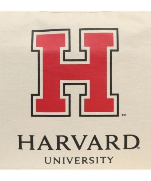 SALON de RUBAN(サロンドルヴァン)の「【SALON de RUBAN / サロン ド ルヴァン】 HARVARD UNIVERSITY ショルダーバッグ(ショルダーバッグ・レディース・グレー/アイボリー/ワイン・FREE)」の10枚目の写真