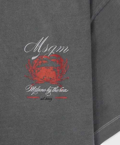 MSGM(エムエスジーエム)の「MSGM CRAB GARMENT DYE グラフィックTシャツ(Tシャツ/カットソー・メンズ・オフホワイト/チャコールグレー・M/S)」の7枚目の写真