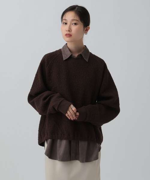 LEPSIM（レプシィム）の「カットジャガードデザインプルオーバー　595570（Tシャツ/カットソー・レディース・ダークブラウン/ライトブルー/ライトグレー・FREE）」の10枚目の写真