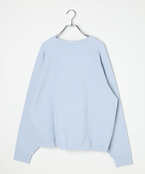 LEPSIM（レプシィム）の「カットジャガードデザインプルオーバー　595570（Tシャツ/カットソー・レディース・ダークブラウン/ライトブルー/ライトグレー・FREE）」の16枚目の写真