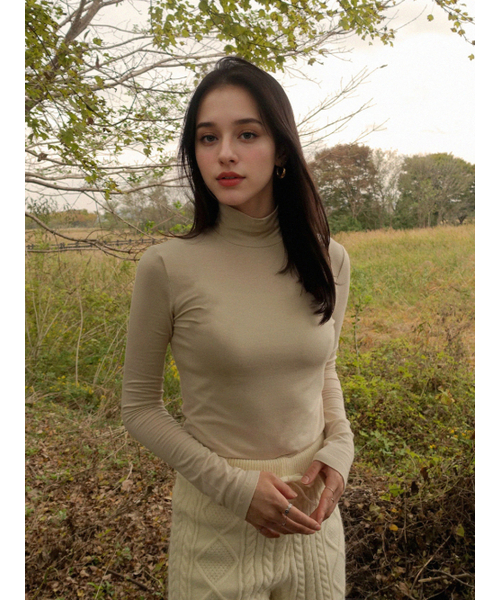 PREMIERE AMOUR(プルミエラムール)の「ブリーズテンセルタートルネックTシャツ - クリーム(Tシャツ/カットソー・レディース・その他・FREE)」の3枚目の写真