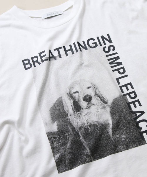 CHIGNON(シニヨン)の「アニマルフォトDOG_T(Tシャツ/カットソー・レディース・ホワイト・FREE)」の20枚目の写真
