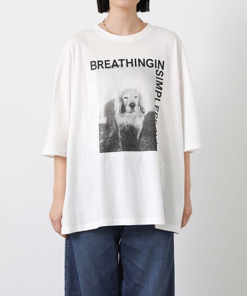CHIGNON(シニヨン)の「アニマルフォトDOG_T(Tシャツ/カットソー・レディース・ホワイト・FREE)」の15枚目の写真