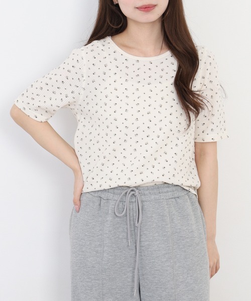 JEMORGAN（ジェーイーモーガン）の「JEMORGAN ワッフル花柄ハーフスリーブクルー（パック）（Tシャツ/カットソー・レディース・ブラック/パープル/ピンク・F）」の22枚目の写真