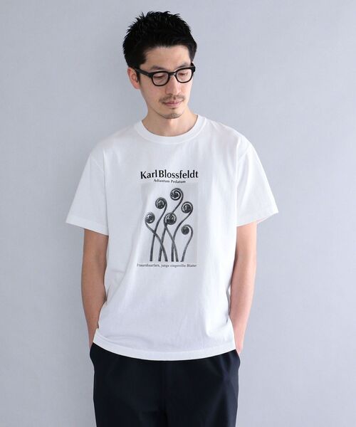 SHIPS（シップス）の「SHIPS: Karl Blossfeldt フォト プリント Tシャツ（Tシャツ/カットソー・メンズ・ホワイト/ライトホワイト/ストーン/ホワイト系・SMALL/MEDIUM/LARGE/X-LARGE）」の3枚目の写真