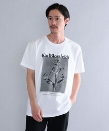 SHIPS | SHIPS: Karl Blossfeldt フォト プリント Tシャツ(Tシャツ/カットソー)