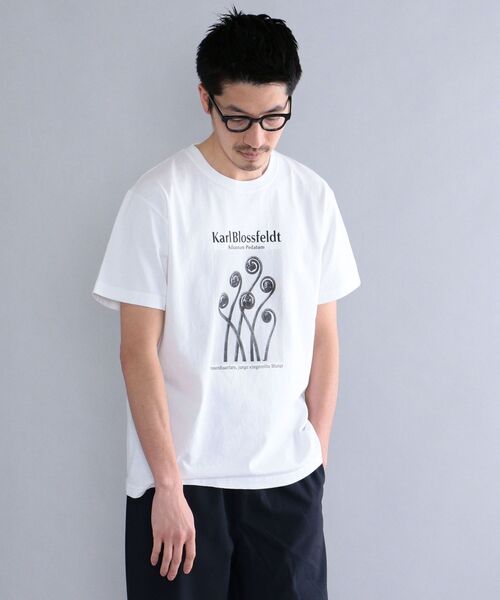 セール】SHIPS: Karl Blossfeldt フォト プリント Tシャツ（Tシャツ 