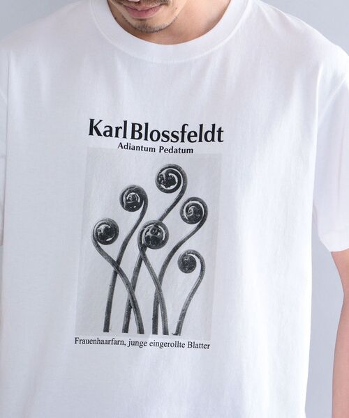 SHIPS（シップス）の「SHIPS: Karl Blossfeldt フォト プリント Tシャツ（Tシャツ/カットソー・メンズ・ホワイト/ライトホワイト/ストーン/ホワイト系・SMALL/MEDIUM/LARGE/X-LARGE）」の13枚目の写真