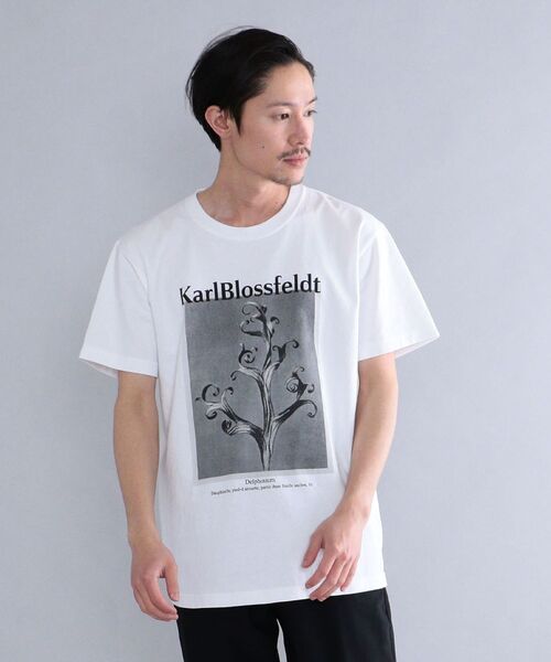 SHIPS（シップス）の「SHIPS: Karl Blossfeldt フォト プリント Tシャツ（Tシャツ/カットソー・メンズ・ホワイト/ライトホワイト/ストーン/ホワイト系・SMALL/MEDIUM/LARGE/X-LARGE）」の10枚目の写真
