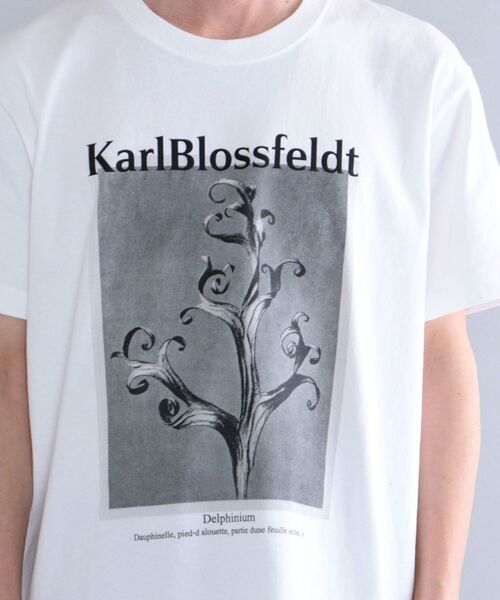SHIPS（シップス）の「SHIPS: Karl Blossfeldt フォト プリント Tシャツ（Tシャツ/カットソー・メンズ・ホワイト/ライトホワイト/ストーン/ホワイト系・SMALL/MEDIUM/LARGE/X-LARGE）」の6枚目の写真