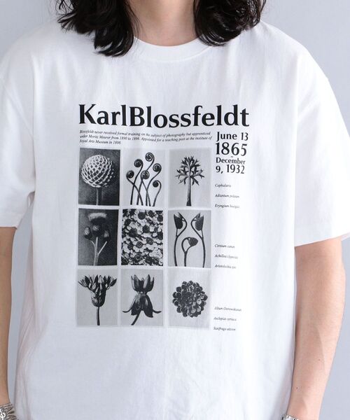 SHIPS（シップス）の「SHIPS: Karl Blossfeldt フォト プリント Tシャツ（Tシャツ/カットソー・メンズ・ホワイト/ライトホワイト/ストーン/ホワイト系・SMALL/MEDIUM/LARGE/X-LARGE）」の22枚目の写真