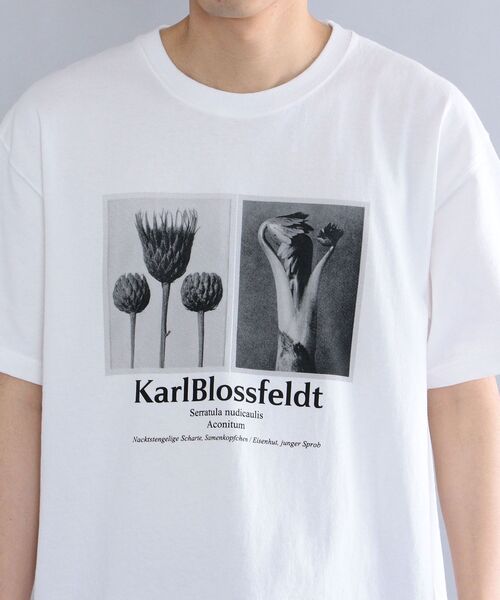 セール】SHIPS: Karl Blossfeldt フォト プリント Tシャツ（T