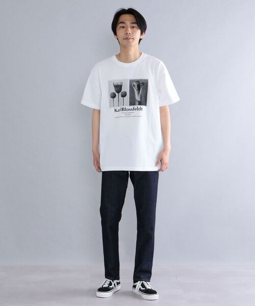 セール】SHIPS: Karl Blossfeldt フォト プリント Tシャツ（T