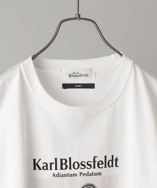 SHIPS（シップス）の「SHIPS: Karl Blossfeldt フォト プリント Tシャツ（Tシャツ/カットソー・メンズ・ホワイト/ライトホワイト/ストーン/ホワイト系・SMALL/MEDIUM/LARGE/X-LARGE）」の19枚目の写真