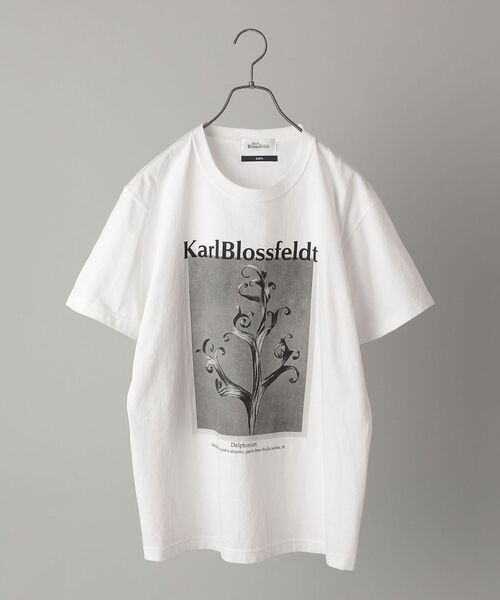 SHIPS（シップス）の「SHIPS: Karl Blossfeldt フォト プリント Tシャツ（Tシャツ/カットソー・メンズ・ホワイト/ライトホワイト/ストーン/ホワイト系・SMALL/MEDIUM/LARGE/X-LARGE）」の12枚目の写真