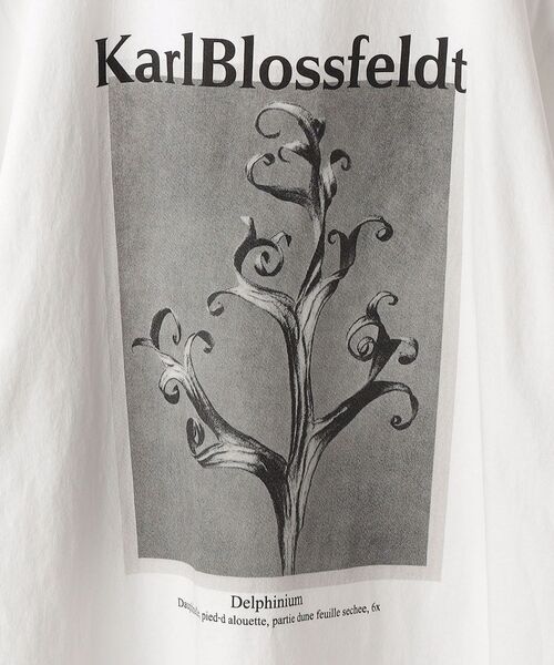 SHIPS（シップス）の「SHIPS: Karl Blossfeldt フォト プリント Tシャツ（Tシャツ/カットソー・メンズ・ホワイト/ライトホワイト/ストーン/ホワイト系・SMALL/MEDIUM/LARGE/X-LARGE）」の8枚目の写真