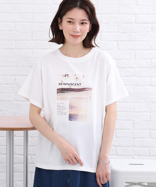 SHOO・LA・RUE(シューラルー)の「◆カラーフォトプリントTシャツ(Tシャツ/カットソー・レディース・ライトブルー/ホワイト系・01/02/03)」の3枚目の写真