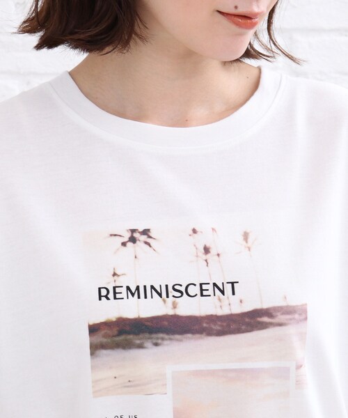 SHOO・LA・RUE(シューラルー)の「◆カラーフォトプリントTシャツ(Tシャツ/カットソー・レディース・ライトブルー/ホワイト系・01/02/03)」の6枚目の写真
