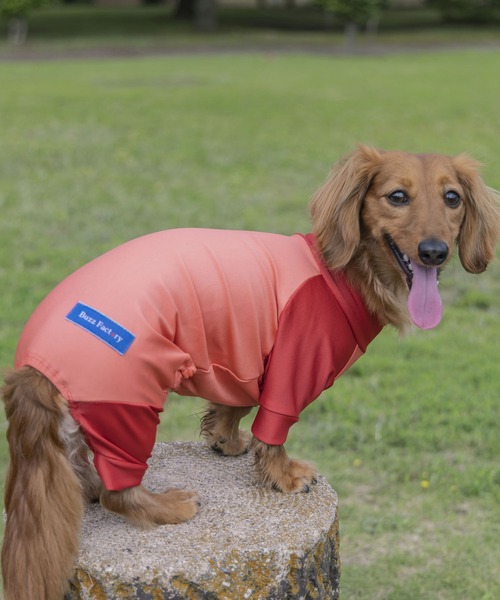 Buzz Factory カラフルロンパース（ペットウェア）｜Buzz Factory（バズファクトリー）