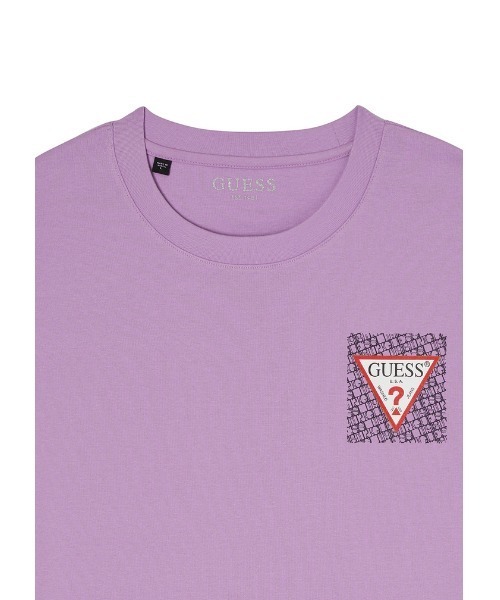 Guess(ゲス)の「Triangle Logo Tee ロゴTシャツ(Tシャツ/カットソー・メンズ・グレー/ホワイト/パープル・MEDIUM/LARGE/X-LARGE/SMALL)」の17枚目の写真
