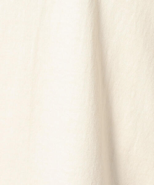 FRUIT OF THE LOOM(フルーツオブザルーム)の「<FRUIT OF THE LOOM> FRUIT DYE TEE/Tシャツ ◆(Tシャツ/カットソー・メンズ・オフホワイト/シャーベット/ライム/ライラック・LARGE/MEDIUM/SMALL)」の10枚目の写真