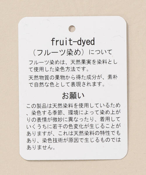 FRUIT OF THE LOOM(フルーツオブザルーム)の「<FRUIT OF THE LOOM> FRUIT DYE TEE/Tシャツ ◆(Tシャツ/カットソー・メンズ・オフホワイト/シャーベット/ライム/ライラック・LARGE/MEDIUM/SMALL)」の14枚目の写真