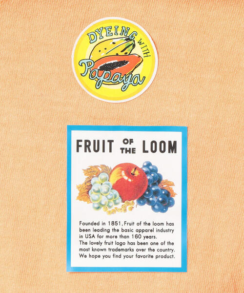 FRUIT OF THE LOOM(フルーツオブザルーム)の「<FRUIT OF THE LOOM> FRUIT DYE TEE/Tシャツ ◆(Tシャツ/カットソー・メンズ・オフホワイト/シャーベット/ライム/ライラック・LARGE/MEDIUM/SMALL)」の18枚目の写真
