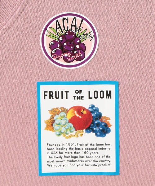 FRUIT OF THE LOOM(フルーツオブザルーム)の「<FRUIT OF THE LOOM> FRUIT DYE TEE/Tシャツ ◆(Tシャツ/カットソー・メンズ・オフホワイト/シャーベット/ライム/ライラック・LARGE/MEDIUM/SMALL)」の5枚目の写真