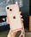NANEAiilAj́uiPhone  V_[XgbvtNAX}zP[X/X}zV_[iX}zP[X/Jo[jvbsN