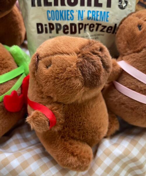 WEGO/リュックカピバラぬいぐるみキーホルダー（キーホルダー）｜WEGO