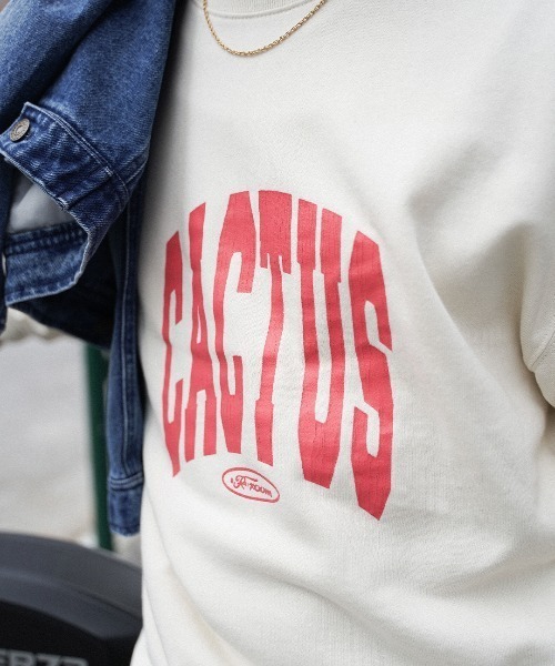 #Re:room（リルーム）の「カクタスヴィンテージクラックプリントスウェットトレーナー（Tシャツ/カットソー・メンズ・ネイビー/オフホワイト/ライトブラック・M-L/S-M）」の22枚目の写真