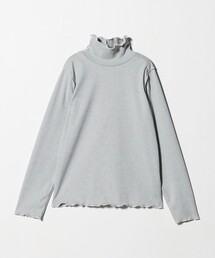 A DAY IN THE LIFE UNITED ARROWS | ブラッシュフライス メロー ハイネックプルオーバー <A DAY IN THE LIFE>(Tシャツ/カットソー)