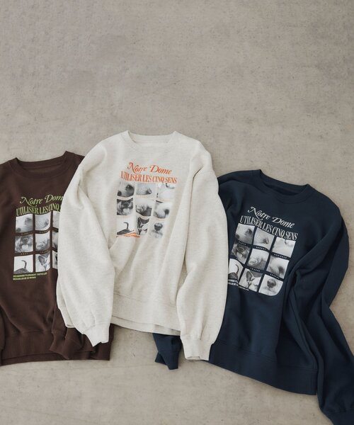DISCOAT(ディスコート)の「【Enlude】ボックスアニマルフォトスウェット《ユニセックス》(Tシャツ/カットソー・メンズ・ライトベージュ/ブラウン/ネイビー・FREE)」の19枚目の写真