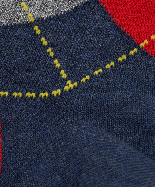 ABAHOUSE（アバハウス）の「アーガイルソックス（ソックス/靴下・メンズ・ホワイト/ネイビー/ワイン・フリー）」の8枚目の写真