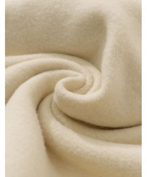 Re:EDIT（リエディ）の「[IWU（アイダブリュー）]ユニセックスUSAコットン裏起毛ロゴフーディ（パーカー・レディース・杢グレー/アイボリー/ベージュ/モカ/ブラック・SMALL/LARGE/MEDIUM）」の9枚目の写真