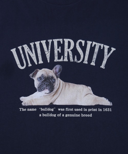 WC（ダブル シー）の「PUGプリントTシャツ（Tシャツ/カットソー・レディース・グレー/オートミール/ネイビー・FREE）」の7枚目の写真