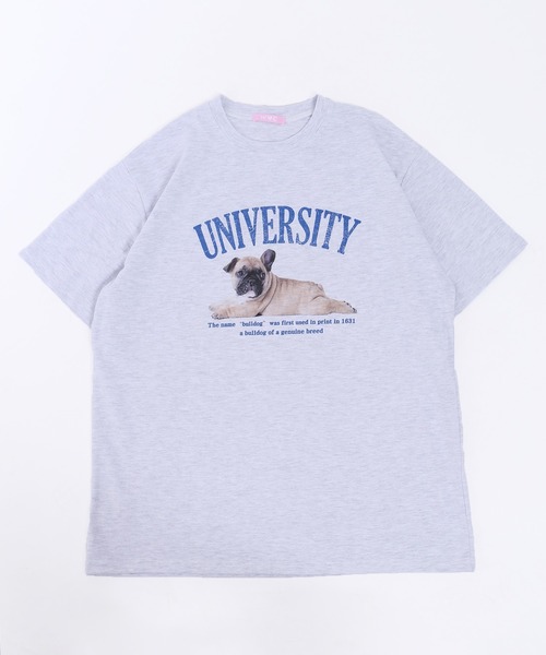 WC（ダブル シー）の「PUGプリントTシャツ（Tシャツ/カットソー・レディース・グレー/オートミール/ネイビー・FREE）」の14枚目の写真